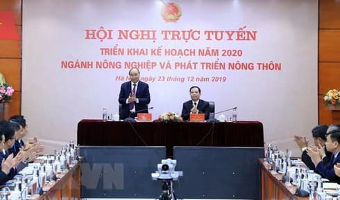 Agriculture sector must grow by 3 pct next year: PM