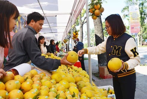 Trade promotion to focus US$5.8m on key markets