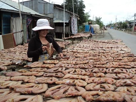 Mekong Delta craft villages get busy for Tet