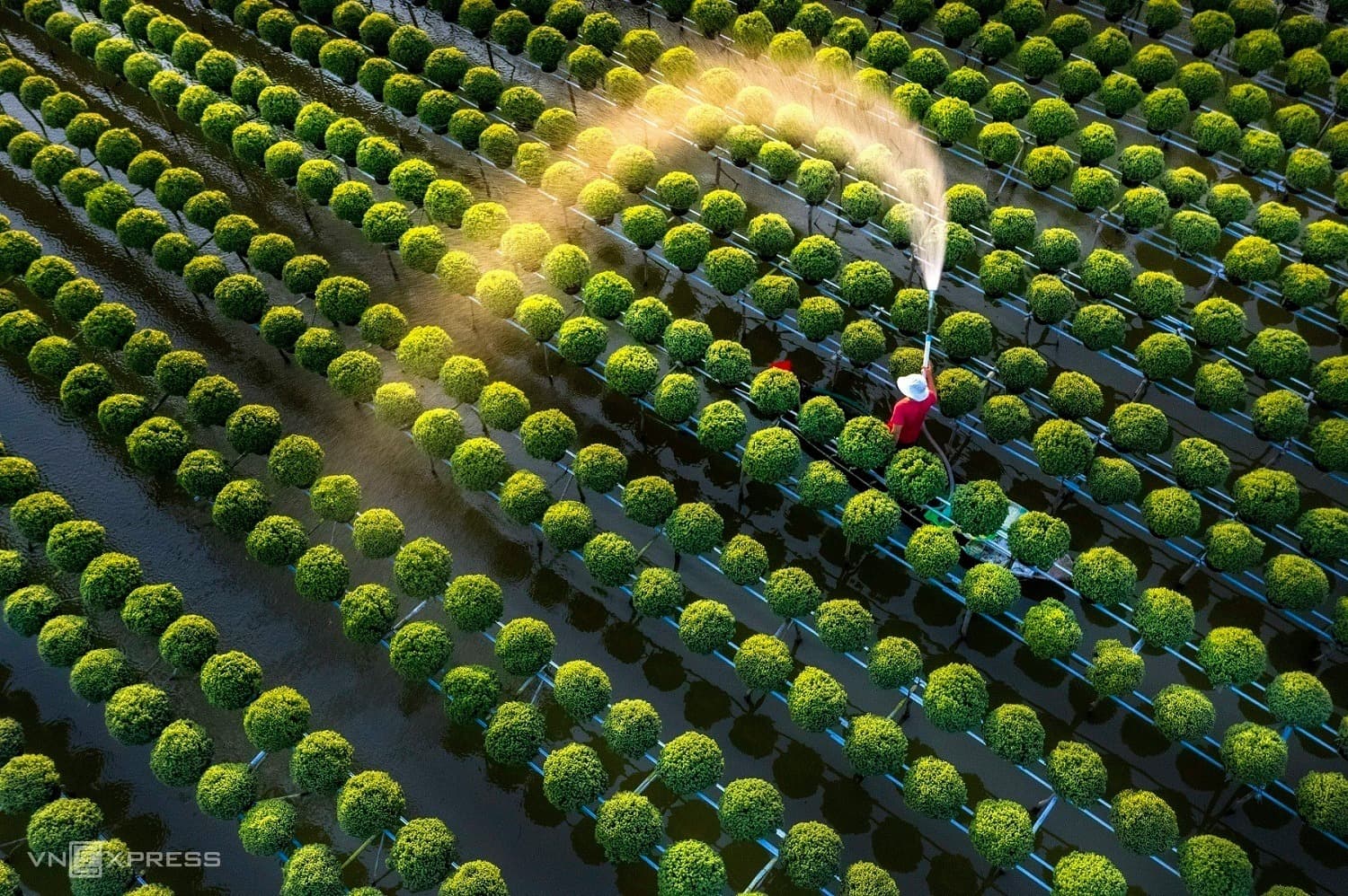 Century-old village blooms in photogenic splendor as Tet nears