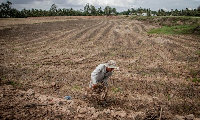 Mekong Delta stays alert for severe drought