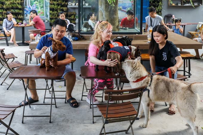 Getting up close and personal with animals at a Saigon café