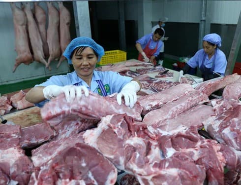 Livestock standouts amid weakening agricultural exports