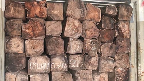 1,000 cubic meters of rare African wood seized in Saigon port