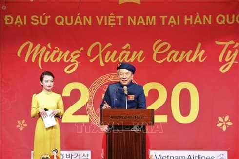 Vietnamese abroad celebrate traditional New Year