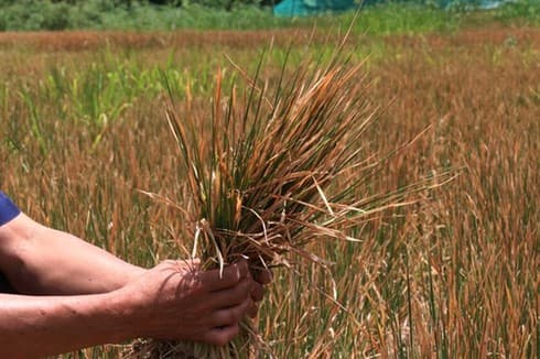 Vietnam aims to ensure water security