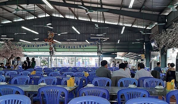Foreigners welcome Vietnam's tougher DUI law