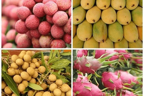 Fruit and vegetable sector eyes export target of US$5 billion this year