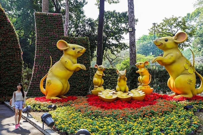 Saigon spring flower festival colorfully ushers in Tet