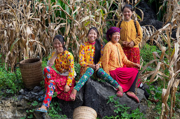 Spring colors boom across Vietnam