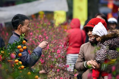 Northern region faces prolonged cold spell throughout Tet