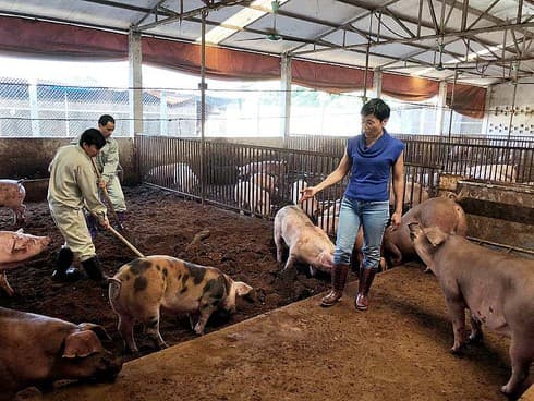 Orfarm opens agri-tourism