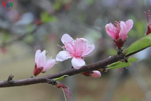 Welcoming a new spring with confidence