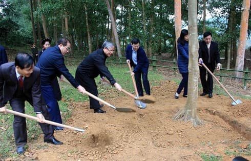 Tree-planting festival launched in Tuyen Quang province