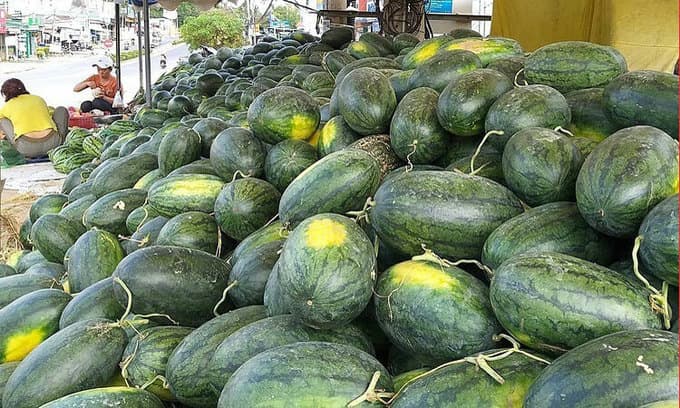 Coronavirus outbreak pinches Vietnamese farmers hard