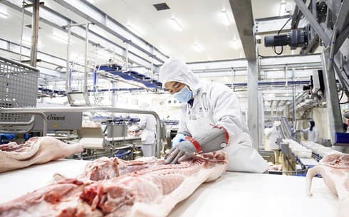 Agro processing gets tidal wave of investment