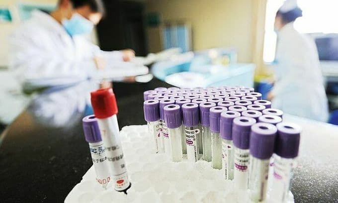 Central Vietnam couple test positive for swine flu