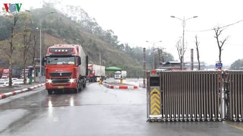 MoIT seeks solutions to reduce nCoV's impact on import-export activities