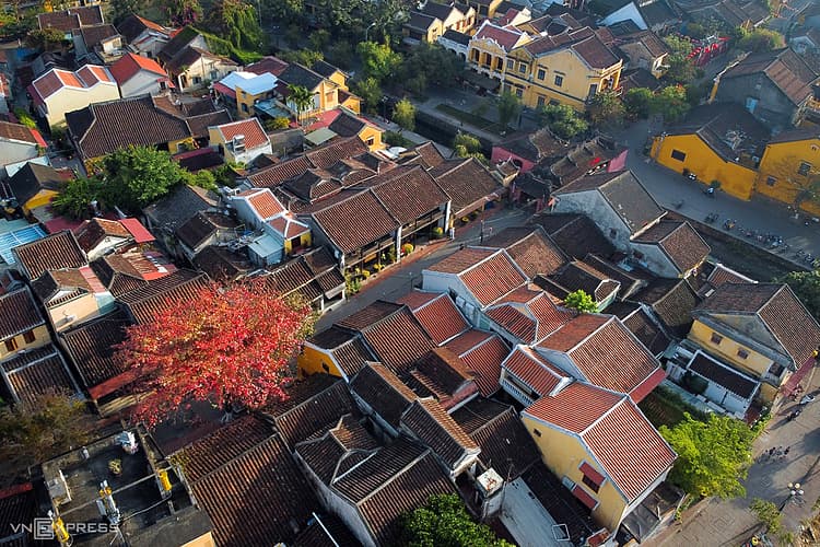 Hoi An’s Malabar almond trees herald spring with splashes of red