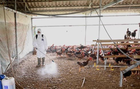 Minister urges early detection of avian influenza outbreaks