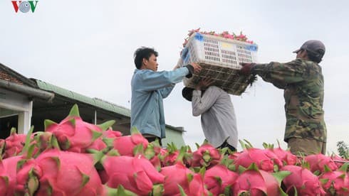 Local agricultural products set sights on Indian market