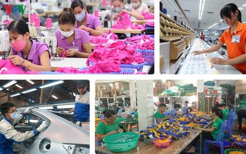 EVFTA creates opportunities to enhance quality of “made in Vietnam” products