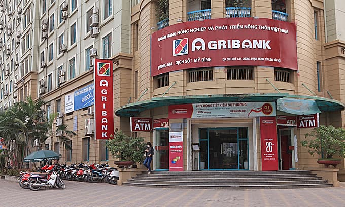 State-owned enterprises more profitable after privatization: report