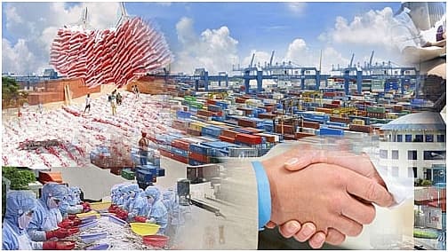 Positive prospects for VN’s rice exports in 2020