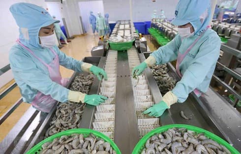 Aquatic product exporters seek ways to overcome COVID-19 impact