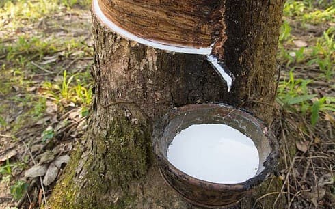 Rubber exports skyrocket nearly 145 per cent in first half of February
