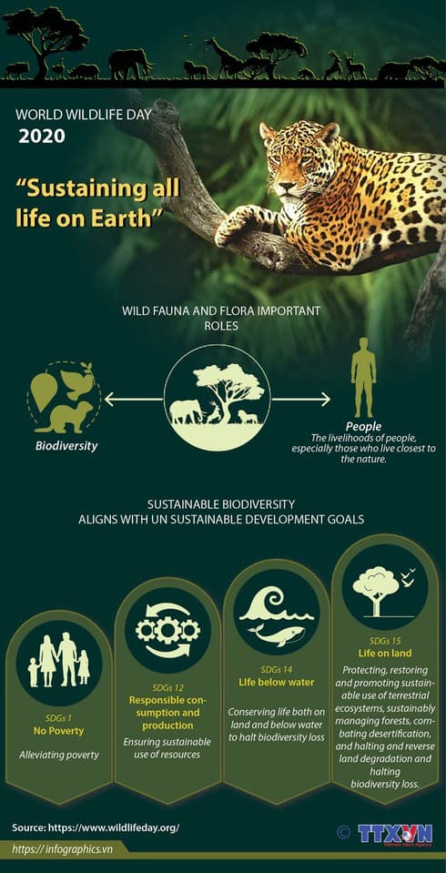 World Wildlife Day 2020 highlights the importance of biodiversity