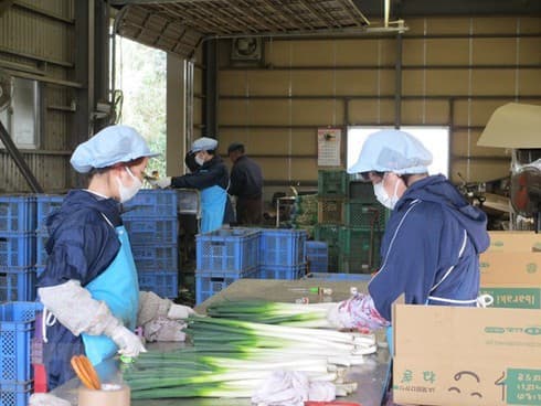 COVID-19: Vietnam, Japan work to protect health of Vietnamese trainees