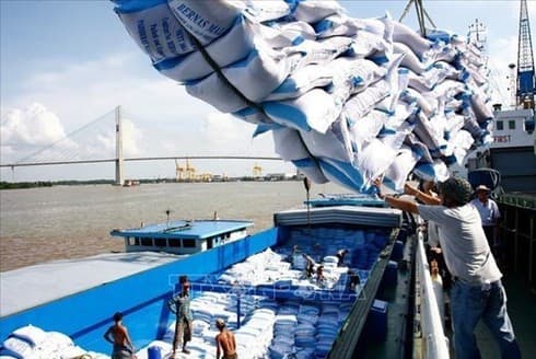 EVFTA to boost Vietnam’s growth in long term: GSO head