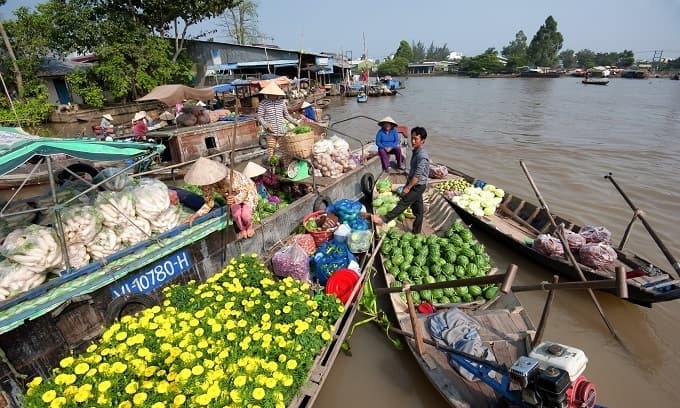 Mekong Delta, southern islands are new domestic tourism hotspots