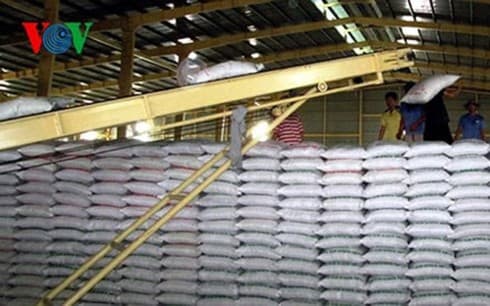 Vietnam achieves highest rice yield in Southeast Asia
