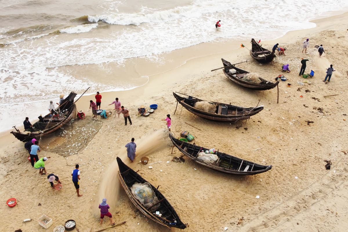 When sardines dot a beach in central Vietnam