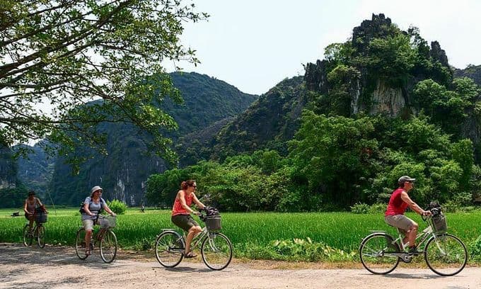 Foreigners plan return to Vietnam following Covid-19 pandemic
