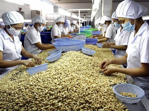 Cashew exports to US up in two months