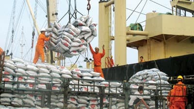 Trade Ministry proposes resumption of rice exports
