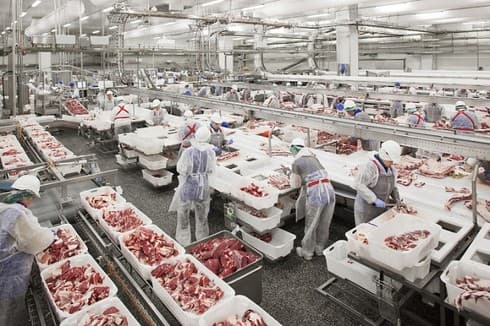 Russian pork in large quantities to be available for sales