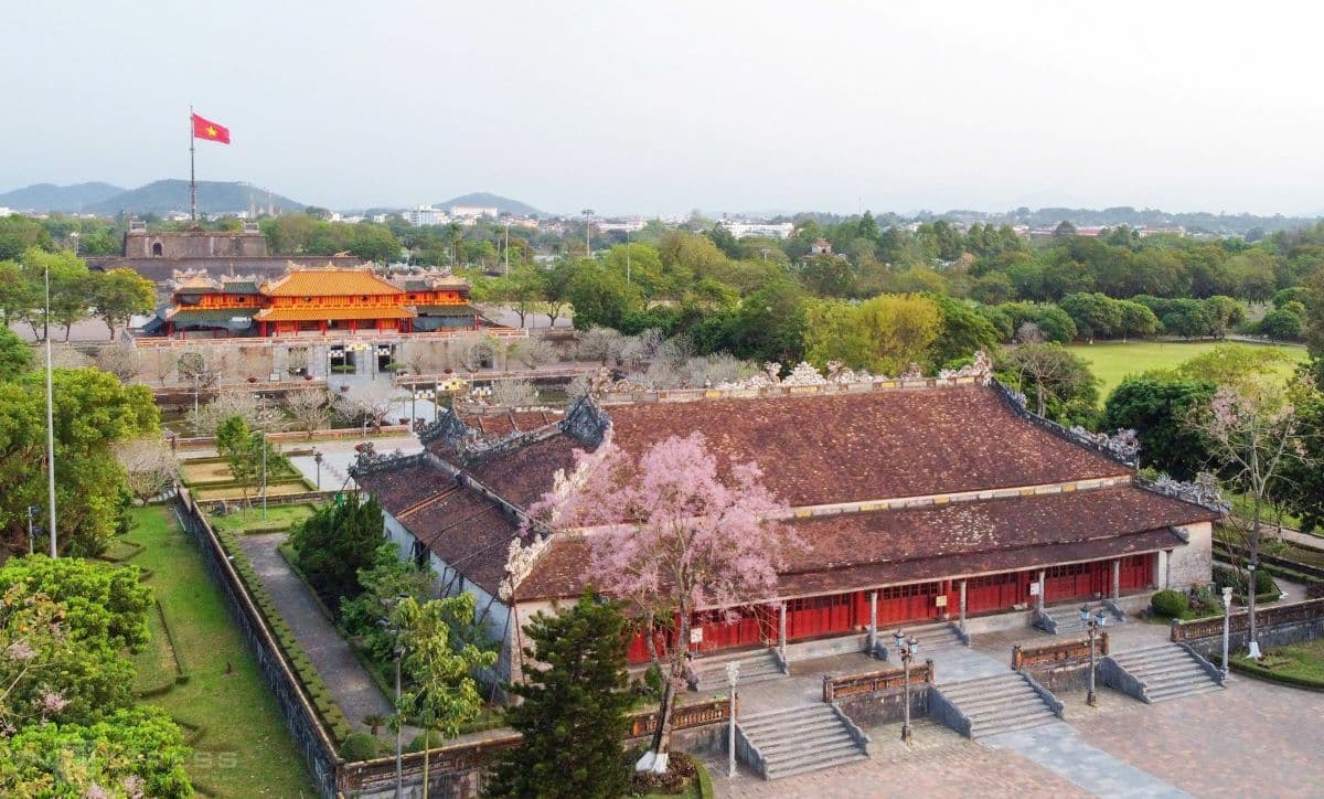 Parasol flowers shower former Imperial City