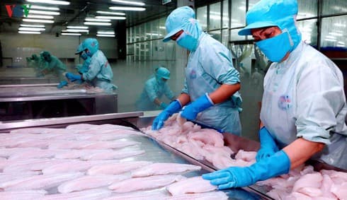 Agro-forestry-aquatic exports enjoy 50% trade surplus in Q1