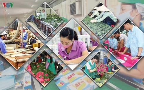 Bright spots emerge despite slowdown in economic growth
