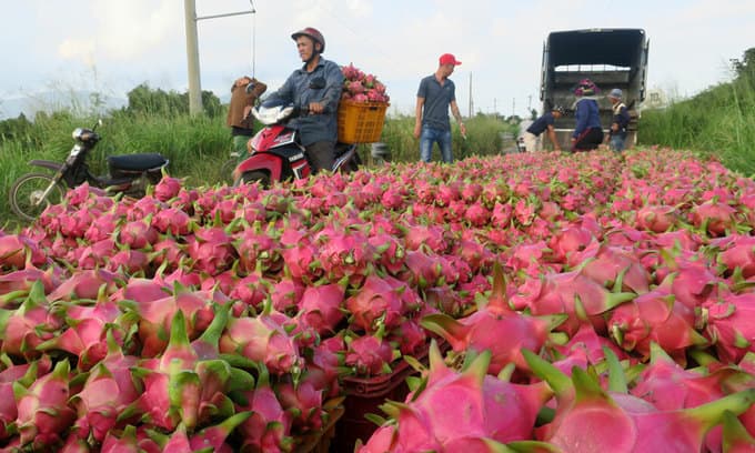 Coronavirus hits Vietnam’s fruit exports to biggest market, China