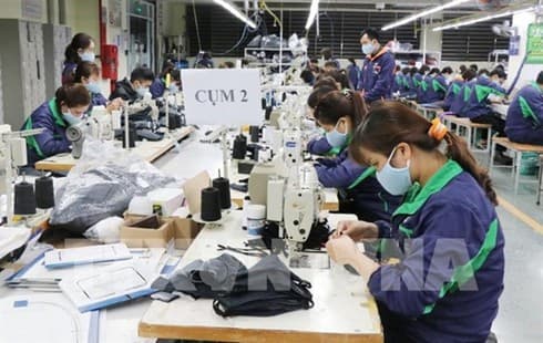 Face masks, hand sanitiser added to price stabilisation programme in HCM City