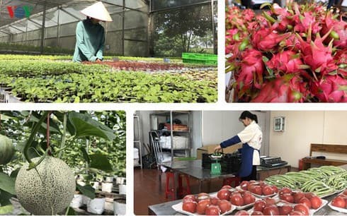 Vietnam and China seek to bolster agricultural trade amid COVID-19