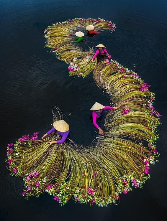 Two Vietnamese photographers among int'l contest finalists
