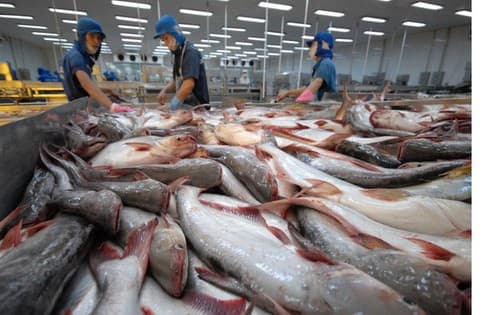 US loosens labelling requirements for tra fish imports