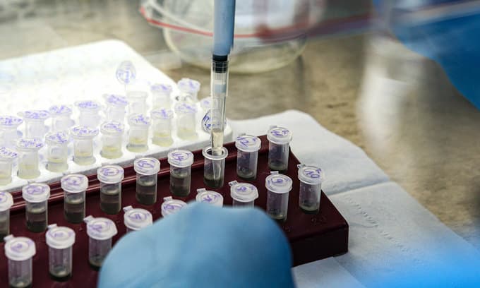 Vietnam marks sixth morning without new Covid-19 cases