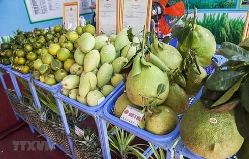 Fruit, vegetable exports to Thailand rocket by over 300% in Q1